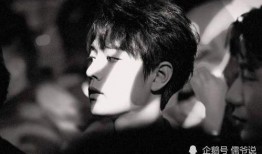 圈内大佬爆料肖战王一博,揭秘娱乐圈的神秘友谊与精彩合作