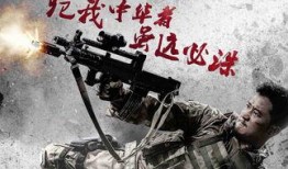 哪里看战狼2在线观看,独家在线观看平台揭秘！