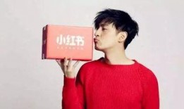 小红书爆料邢凯轩视频,小红书热议不断！