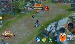 王者最新爆料春节过后,揭秘全新爆料与精彩内容