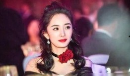 张雨绮爆料娱乐圈的事件,揭秘明星背后的真实故事