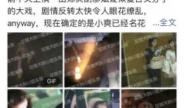 今日头条郑爽最新爆料,揭秘娱乐圈惊人内幕