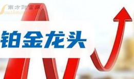 安康媒体爆料最新消息,揭秘事件背后真相