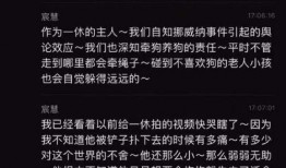 柯基狗最新爆料,揭秘网红宠物的日常生活与趣事
