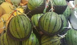 朝堂吃瓜第一集免费观看,第一集免费揭秘宫廷秘闻