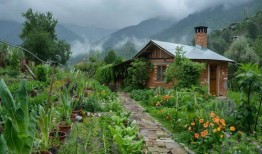 农村美景大爆料视频下载,农村美景大爆料视频精选