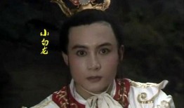 小白龙电视剧在线观看,传奇龙族少年的奇幻冒险之旅