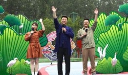 洛阳汽车站爆料视频最新,揭秘车站运营现状与旅客心声