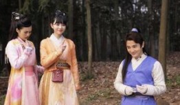 纳妾记2全集在线观看