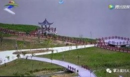 吴川公园最新爆料