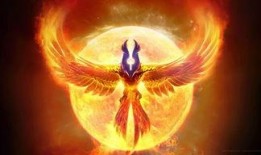 凤凰真实存在吗爆料新闻,凤凰真实存在？揭秘神秘爆料背后的真相