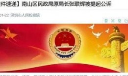 深圳新闻现场今日爆料视频,独家视频爆料，揭秘事件背后真相