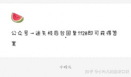 娱乐圈爆料水印,揭秘明星幕后故事，水印见证真相！