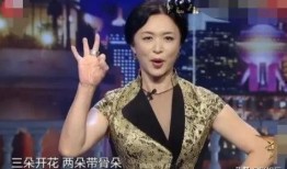 名星最新爆料视频大全,明星视频大全揭秘幕后真相