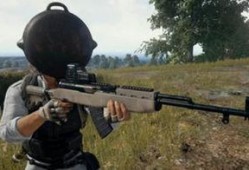 吃鸡ak最新爆料视频,性能大揭秘