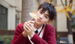 夏之光黄俊捷圈内人爆料,真实事件背后的惊人内幕