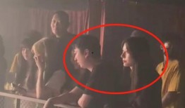 网红吃瓜免费爆料合集视频,免费爆料合集视频大揭秘