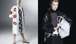 最新普拉达爆料广告,时尚先锋的潮流演绎