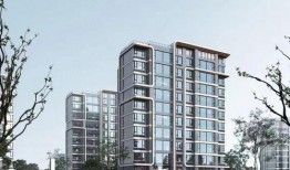 今天楼盘爆料信息最新动态,揭秘神秘新盘亮点