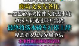 文安爆料视频,事件真相与背后故事